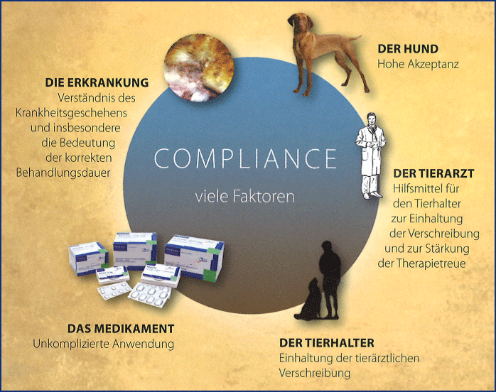 Compliance-BHI.png