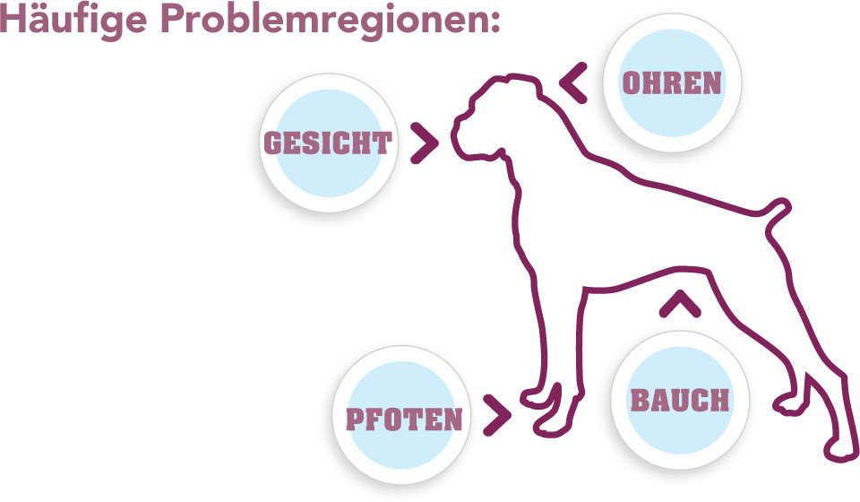 Häufige Problemregionen.jpg