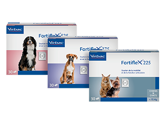 Fortiflex-packshot.png