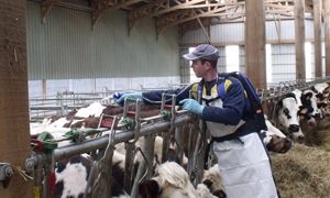 FarmPack und FlexiBag