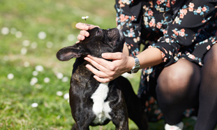 Atopische Dermatitis