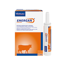 Virbac - Energan Calcium für Rinder