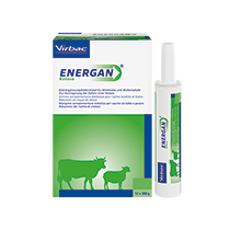 Virbac - Energan Ketose für Rinder