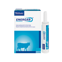Virbac - Energan Phosphor für Rinder