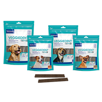Virbac - VeggieDent Fresh Kaustreifen für Hunde