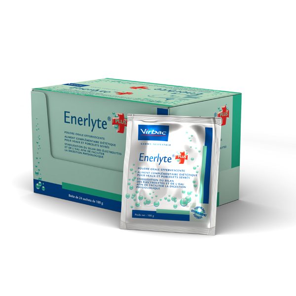 rehydrater_veau_enerlyte_plus_large.png
